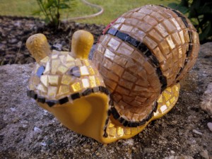 Schnecke1