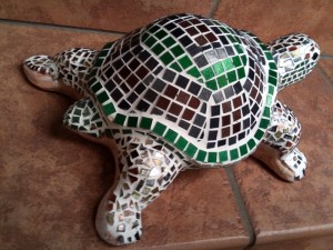 Schildkröte2